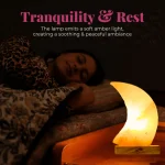 Half Moon Lamp - Image 7